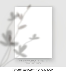 Shadow overlay effects transparent leaves reflection vector