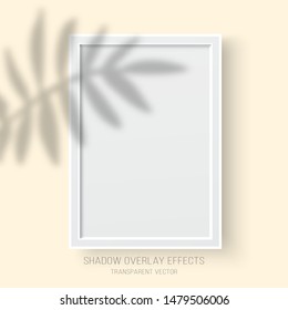 Shadow overlay effects transparent leaves reflection vector