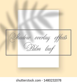 Shadow overlay effects transparent leaves reflection vector poster mockup picture frame