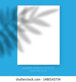 Shadow overlay effects transparent palm leaves reflection vector poster mockup picture frame