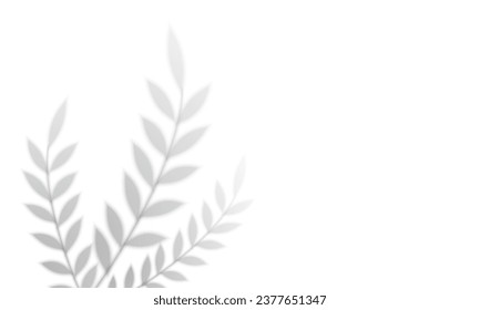 Shadow overlay effects. Tropical leaf soft shadow. Natural light scene, vector illustration