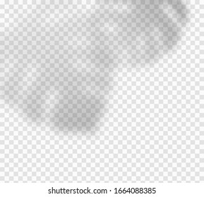 Shadow overlay isolated on transparent background. Vector summer plant, monstera leaves or tropic foliage soft blurred shadows effect pattern. 
