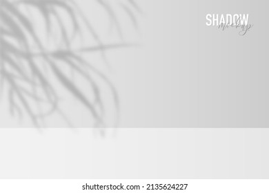 Shadow overlay light effect from window with natural leaves and sunlight vector illustration. Abstract realistic 3d calm scene with summer branch of plants, gray shadow on room wall background