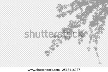 Similar – Image, Stock Photo Tree reflection in the window