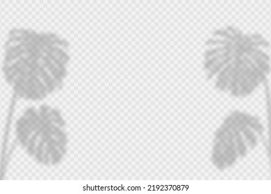 Superposición de sombra de hojas de monstera. Efecto de sombra superficial transparente de la hoja de palma tropical de monstera. Efecto de luz suave realista de las sombras y la luz natural sobre un fondo transparente. Vector.