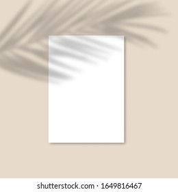 Shadow Overlay Palm Leaf Vector Mockup A4 Paper sheets. Vector Transparent shadow of tropical leaves on pastel background in a modern minimalist style. For presentation Flyer, Poster, blank, logo