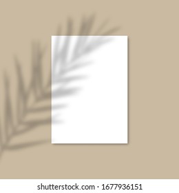 Shadow Overlay Palm Leaf Vector Mockup A4 Paper sheets. Vector Transparent shadow of tropical leaves on pastel background in a modern minimalist style. For presentation Flyer, Poster, blank, logo