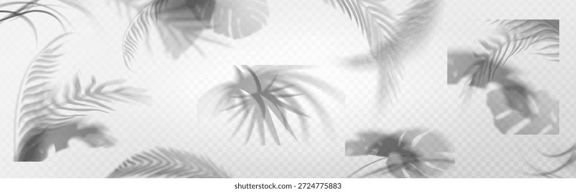 Shadow overlay of palm leaves and tropical foliage on transparent background. Soft silhouettes of tree fronds, monstera and exotic plant shadows with subtle blur effect for summer design layouts.