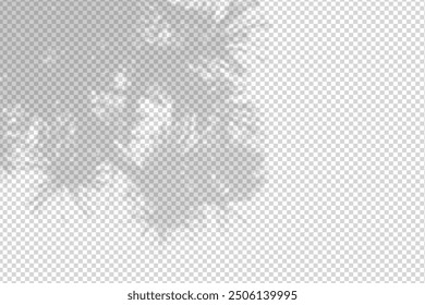 Shadow overlay from a pine tree branch isolated on a transparent background.
