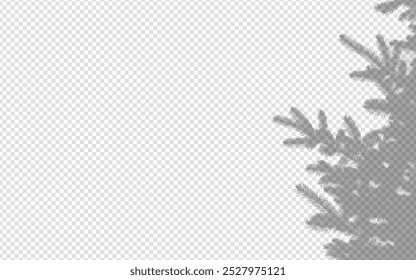 Shadow overlay from a pine tree branch isolated on a transparent background.