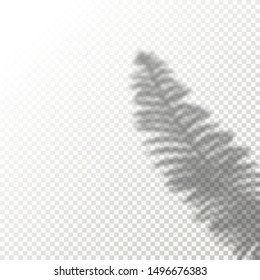 Shadow Overlay Plant Vector Mockup. Shadows overlay effects Of A leaf on blue background in a modern minimalist style. For presentation Flyer, Poster, blank, logo, invitation
