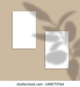 Shadow Overlay Plant Vector Mockup Vertical business Card. Vector Realistic shadows overlays leaf. Template Flyer, Card, Poster, blank, social media post, logo in minimal trendy style.