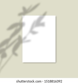 Shadow Overlay Plant Vector Mockup A4 Paper Sheets. Shadows Overlay Effects Of A Branch On Pastel Green Background In A Modern Minimalist Style. For Presentation Flyer, Poster, Blank, Logo, Invitation