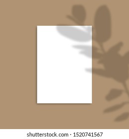 Shadow Overlay Plant Vector Mockup A4 Paper sheets. Shadows overlay effects Of A leaf on brown background in a modern minimalist style. For presentation Flyer, Poster, blank, logo, invitation