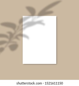 Shadow Overlay Plant Vector Mockup A4 Paper sheets. Shadows overlay effects Of A leaf on beige background in a modern minimalist style. For presentation Flyer, Poster, blank, logo, invitation