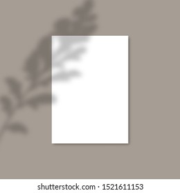 Shadow Overlay Plant Vector Mockup A4 Paper Sheets. Shadows Overlay Effects Of A Leaf On Gray Background In A Modern Minimalist Style. For Presentation Flyer, Poster, Blank, Logo, Invitation