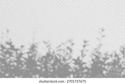 Arbusto de superposición de sombra sobre fondo transparente. Efecto de Vector de cobertura de sombra