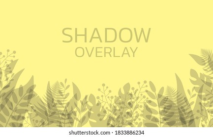 Shadow overlay. Transparent background with leaves and plants. Vector illustration.