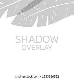 Shadow overlay. Transparent background with leaves and plants. Vector illustration.