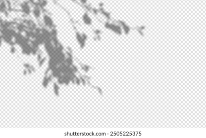 Shadow overlay from a tree branch isolated on a transparent background.
