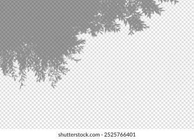 Shadow overlay from a tree branch isolated on a transparent background.