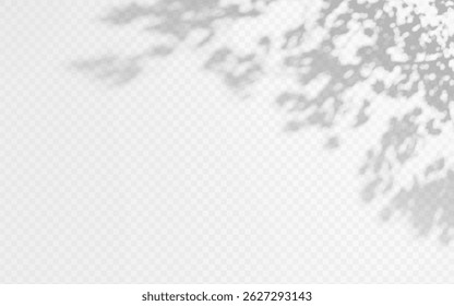 Shadow overlay from a tree branch isolated on a transparent background.
