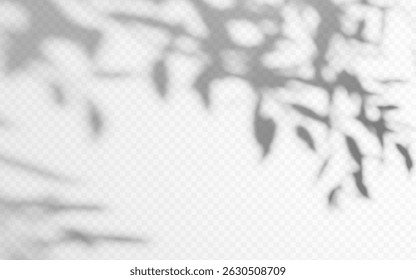 Shadow overlay from a tree branch isolated on a transparent background.