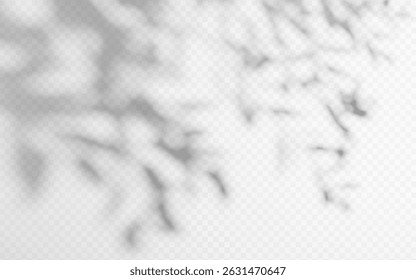Shadow overlay from a tree branch isolated on a transparent background.