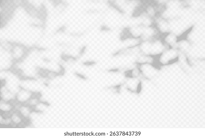 Shadow overlay from a tree branch isolated on a transparent background.