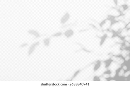 Shadow overlay from a tree branch isolated on a transparent background.