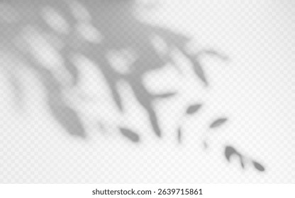 Shadow overlay from a tree branch isolated on a transparent background.