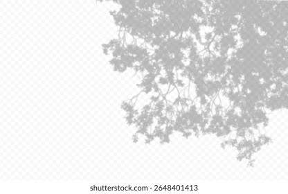 Shadow overlay from a tree branch isolated on a transparent background.