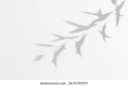 Sobreposição de sombra da ramificação de árvore em um plano de fundo transparente.