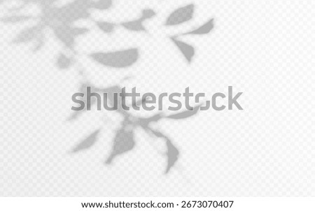 Shadow overlay from tree branch on a transparent background.