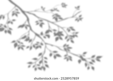 Shadow overlay of tree branches and leaves. Blur soft silhouette of leaf design for natural effect isolate on white background.	