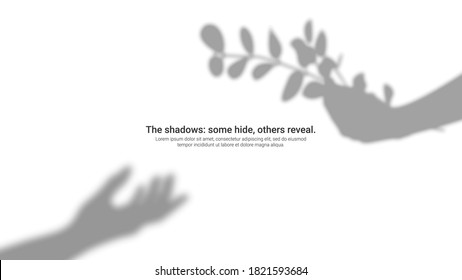 Shadow overlay visual element. Transparent soft light and shadow scenes hand with taking leaves. Design for mockup, ad, related for visual graphic.