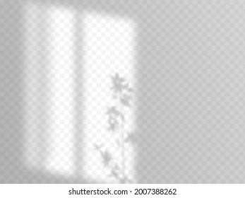 Shadow overlay from the window and bamboo tree outside the window. 
Natural shadows isolated on transparent background.
