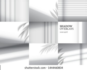 Shadow overlays for mockup presentations. Organic and jalousie shadows for natural light effects - Shutterstock ID 1444460834
