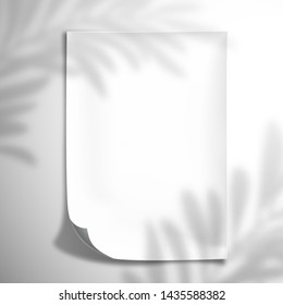 The shadow of a palm leaf falls on a white blank concave sheet of paper.  Top view mockup template for design