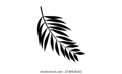 Shadow Palm Leaves, black isolated silhouette