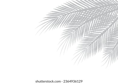 Shadow of palm leaves or coconut leaves right. Natural pattern, light gray shadow and Copy space