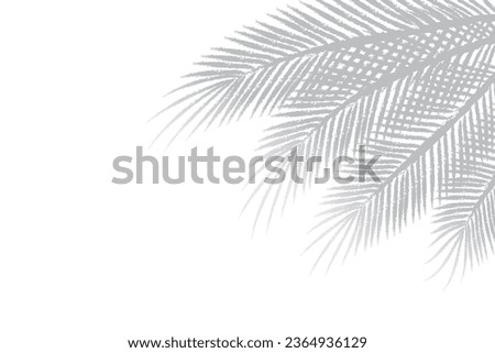 Shadow of palm leaves or coconut leaves right. Natural pattern, light gray shadow and Copy space