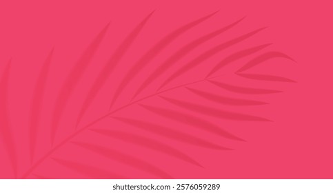 Shadow of palm leaves on a bright pink background, minimalist style.