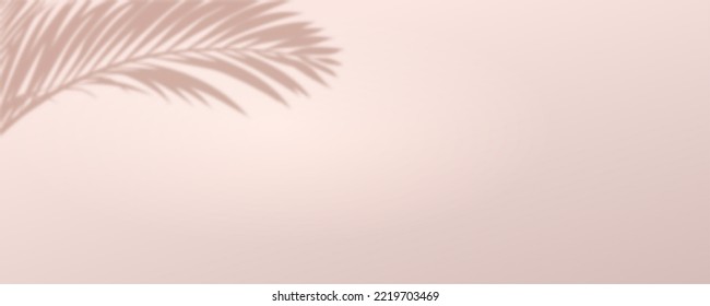 Sombra de hojas de palma en la pared. Fondo abstracto, escena para la visualización del producto. Ilustración del vector