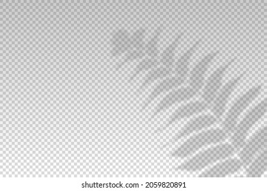 Efecto de superposición de hojas de planta de sombra. Hojas de flores. La luz de la ventana sobre las plantas de palmera se deja entrever en un fondo transparente. En general las flores de sombra. La sombra tropical de la primavera natural. Modelación del diseño. Vector