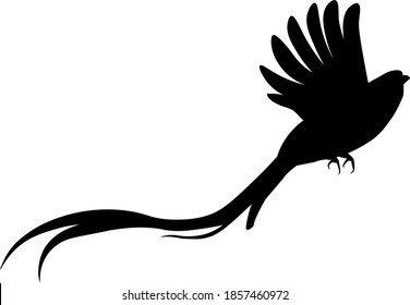 quetzal flying drawing