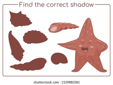 sombra de las conchas marinas. Juego infantil educativo