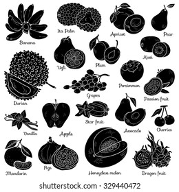 Shadow set with tropical fruits, vector cartoon collection