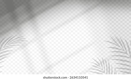 Silhouette d'ombre et lumière douce sur mur blanc transparent, arrière-plan Abstrait, cadre d'ombre de fenêtre flou avec effet de lumière du soleil, idées d'éléments d'Image vectorielle pour la superposition sur fond studio ou intérieur de mur