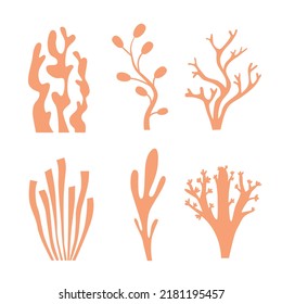 Shadow silhouettes set of algae, seaweed, coral polyps,